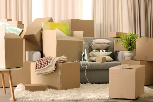 Professional movers handling boxes during a Tooting relocation